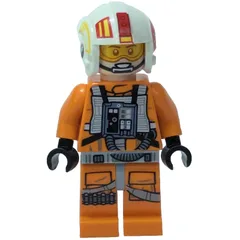 Rebel Pilot