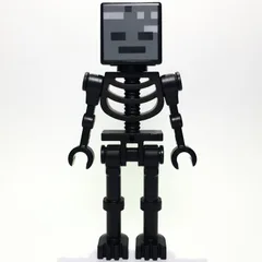 Wither Skeleton, Square Skull, Straight Arms (78132 Torso)