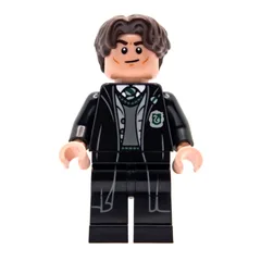Tom Riddle (Voldemort), Slytherin Robe