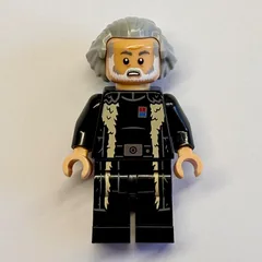 Imperial Remnant Warlord