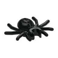 Insect, Spider, Black