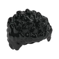 Hair Coiled and Short, Black