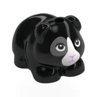 Animal, Guinea Pig with White/Dark Bluish Grey Face, Bright Pink Nose Print, Black