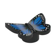Insect, Butterfly with Dark Blue Wings, White Spots Print, Black