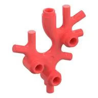 Animal / Plant, Coral / Sea Weed, Coral
