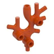 Animal / Plant, Coral / Sea Weed, Reddish Orange