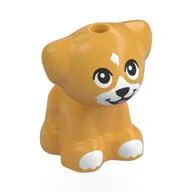 Animal, Dog Pup with White Face, Paws, Black Eyes, Nose Print, Ochre Yellow