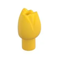 Plant, Flower, Tulip, Yellow