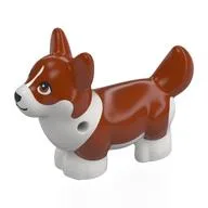 Animal, Dog, Corgi with Partially Dark Orange Fur Print, White