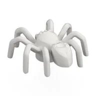 Insect, Spider with Elongated Tail Section, White