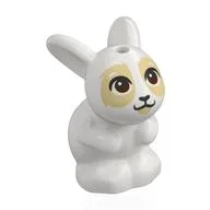 Animal, Rabbit / Bunny Sitting with Dark Brown Eyes, Tan Face Print, White