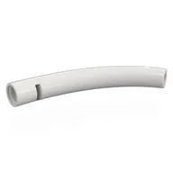 Animal Body Part / Plant, Tail / Neck / Branch / Trunk, Middle Section with Pin Holes, White