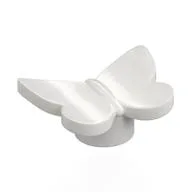 Insect, Butterfly, White
