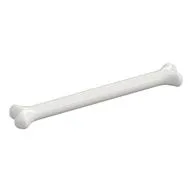 Animal Body Part, Dog Bone [Long], White
