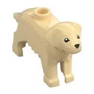 Animal, Dog, with Eyes and Nose Print, Tan