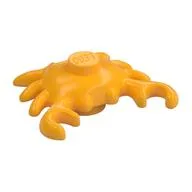 Animal, Crab, Bright Light Orange