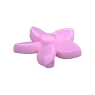 Plant, Flower with 5 Pointed Petals and Pin, Bright Pink