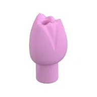 Plant, Flower, Tulip, Bright Pink