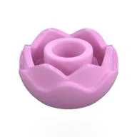 Plant, Flower, Peony Rose with 2 Layers, Bright Pink