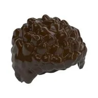 Hair Coiled and Short, Dark Brown