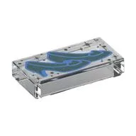 Tile 1 x 2 with Sand Blue Shoes Print, Trans-Clear