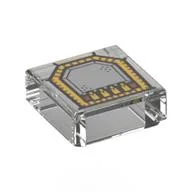 Tile 1 x 1 with Silver and Gold Circuitry (Echolocation Interface) Print, Trans-Clear