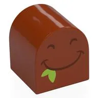 Duplo Brick 2 x 2 x 2 Curved Top with Black Eyes, Smiling Mouth, Lime Leaf Print, Dark Orange