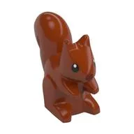 Animal, Squirrel, Standing, Black Eyes and Reddish Brown Nose Print, Dark Orange