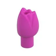 Plant, Flower, Tulip, Dark Pink