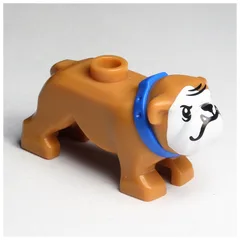 Animal, Dog, Bulldog with White Face, Fangs, Blue Collar Print, Medium Nougat