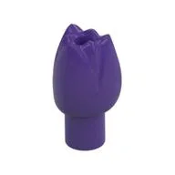 Plant, Flower, Tulip, Dark Purple